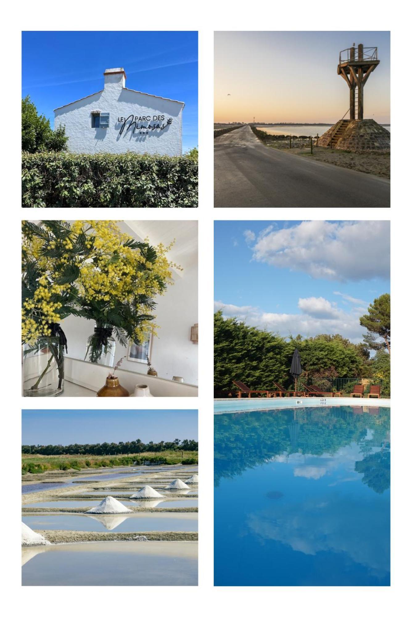 ノワールムーティエ Le Parc Des Mimosasヴィラ エクステリア 写真